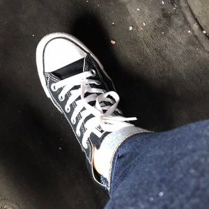 Meet your Posher, Molly